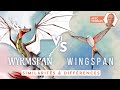 Wyrmspan vs wingspan  similarits  diffrences