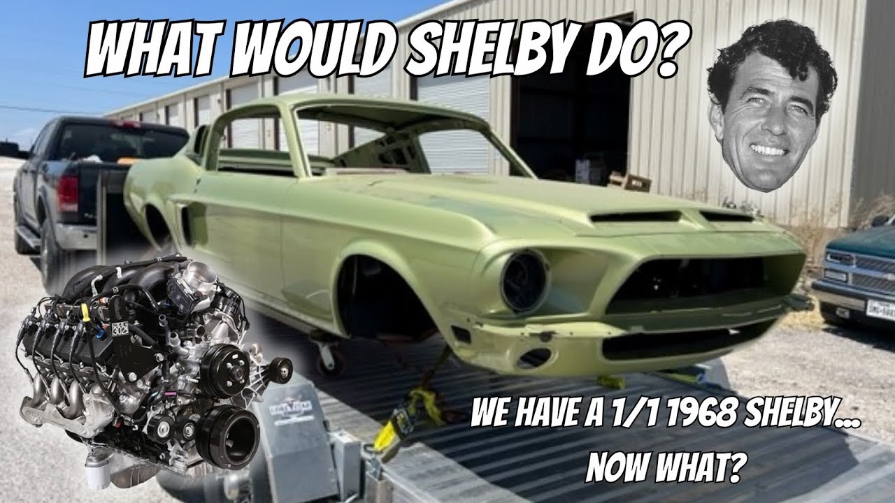 What Would Shelby Do? | WWSD Project