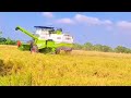 Nazar 930 combine harvester in field