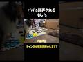 パパに翻弄されるりんた【会話ボタンでしゃべる犬】 #shorts #犬