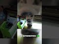 High Flow Hotends Speed vs Print Quality Test