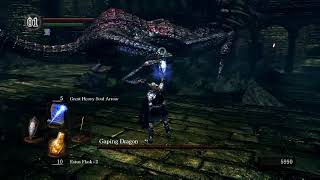 DS1 - Gaping Dragon vs. Sorcerer