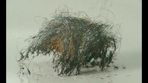 The Reaction of Iron Wool with the Halogens