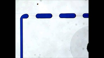 Microfluidic droplet generation at T junctions with different channel angles