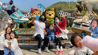 (감격...) 바이킹 타기에 도전한 로라! 오월드 🎡유잼도시 대전 여행 Vlog