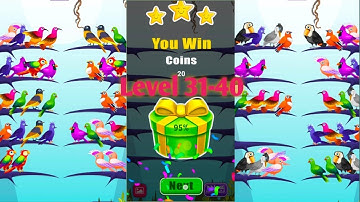 Color Bird Sort Puzzle Games Level 31-40
