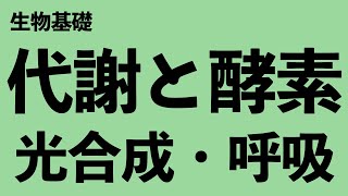 【代謝と酵素の知識はこれだけ！】代謝と酵素，光合成，呼吸を図でイメージする！【高校生物 生物基礎】