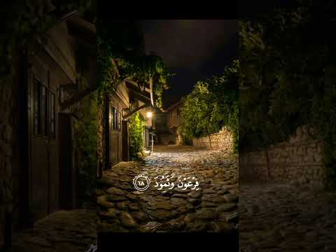 سورة البروج شيخ عبدالرشيد علي صوفي