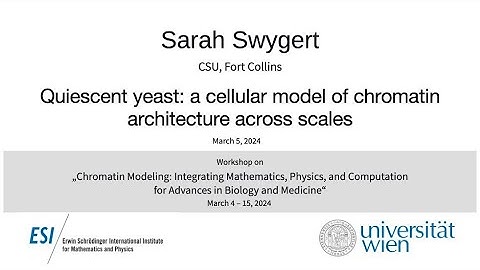 Sarah Swygert - Quiescent yeast: a cellular model of chromatin architecture across scales