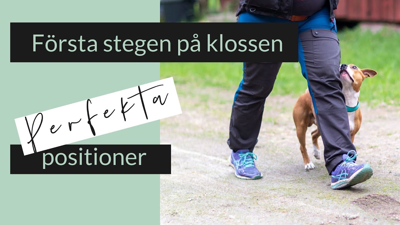 Klossträning, första stegen på klossen