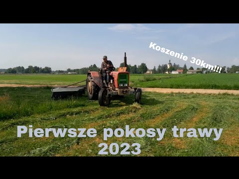 Video: Grafikas Polski