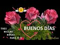 Buenos das tres bellas rosas para ti te deseo un hermoso da