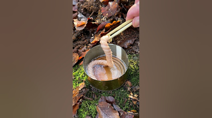 Survival Skills: Fire Starter and Torch for Extreme Conditions. #survival #camping #lifehacks
