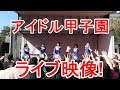 【ライブ映像】初アイドル甲子園!!アイドルのライブ現場に潜入PART92