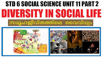 STD 6 Social Science Unit 11 |Diversity In Social Life Part2|Kite Victers STd 06 Social Science