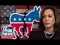 DISASTER Former Dem Megadonor Delivers SCATHING Party Assessment 