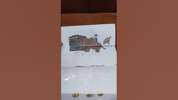 سورة الفيل بصوت الشيخ ياسر الدوسري