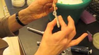 BioBuilder_PrepVideo_Lab4_Transformations.m4v