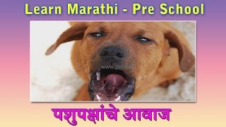 Animal Sounds In Marathi | Learn Marathi For Kids | Marathi Grammar |  Marathi For Beginners - YouTube