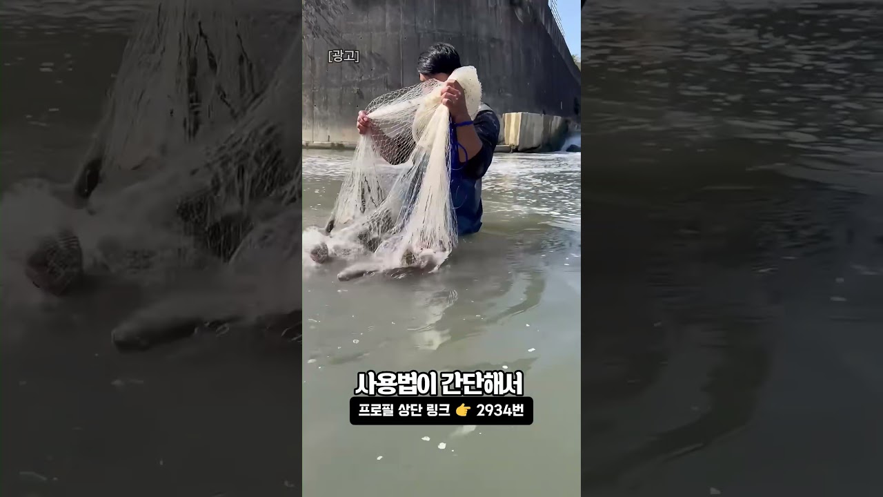 ✨ 원형 자동 투망
