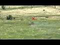Russian bmp2 runs over their own anti tank mine