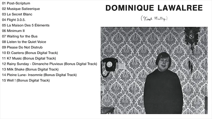Dominique Lawalree - First Meeting (album)
