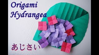 英語で 花 と 花の名前 をなんという 桜 紫陽花 ひまわり たんぽぽ ユリ バラ チューリップ発音まとめ 英これナビ エイコレナビ 英語で 花 と 花の名前 をなんという 桜 紫陽花 ひまわり たんぽぽ ユリ バラ チューリップ発音まとめ 英これナビ エイコレナビ