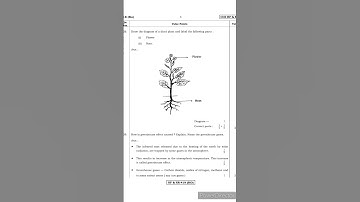 10th Standard | Science Old Question paper |Biology Part | Key Answers| English Medium | #SSLC #10th