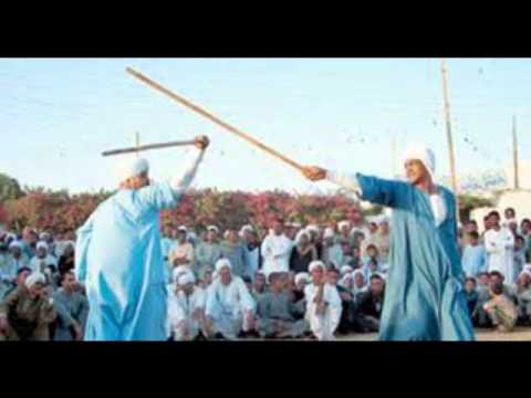 فاطمة عيد حسنين ومحمدين شعر محمد الدسوقي الشهاوي 