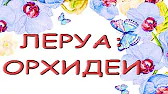 Орхидеи,узамба́рские фиалки,Самара🌺