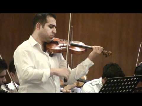 Vivaldi 4 Seasons Adagio.wmv
