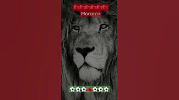 Lion De L Atlas منتخب والسبع زهرتو واعرة Viralvideo Football Viral Footballshorts Ronaldo 