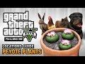 GTA 5 - Peyote Plants Location Guide (Play as an Animal)