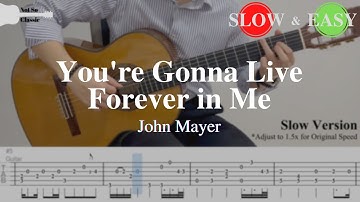 Thumbnail of You're Gonna Live Forever in Me - John Mayer | Fingerstyle Guitar TAB (Slow & Easy)