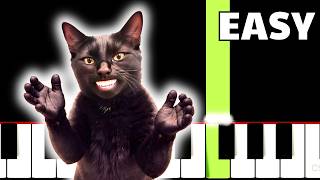 Clapping Cat Meme Song - EASY Piano Tutorial