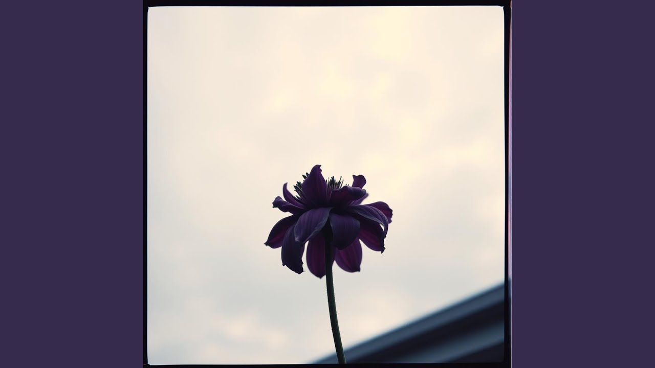 Guarda River su YouTube Guarda River su YouTube