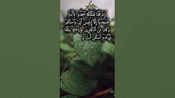 سورة البقره الشيخ فارس عباد #سورة_البقرة #الشيخ_فارس_عباد #اكسبلور #duet #المصحف  #راحة_نفسية #قران
