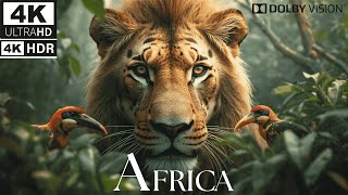 Animal 4k Video Ultra HD with Sound | Forest Animal 4k Ultra HD | 4K Video Nature