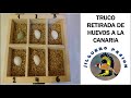 TRUCO RETIRAR HUEVOS A LA CANARIA