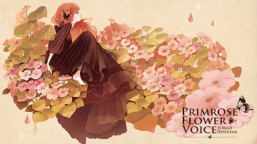 花たん Mp3 花たん Mp3
