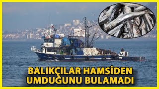 Karadenizde Hamsi Avı Yasaklansın Çağrısı