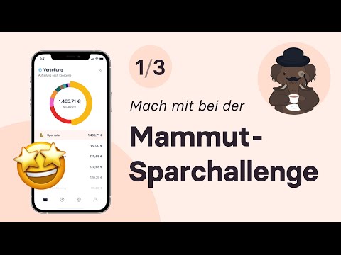 Mammut Sparchallenge 1/3: Monetaz-App Best Practice & Finanzen organisieren