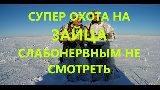 Супер охота на зайца 2018 Супер охота на зайца 2018