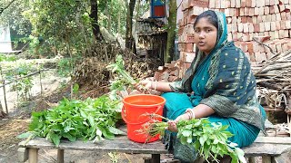 আজ সারা রাত বৃষ্টিতে আমাদের পুকুর পালান ডুবে গেছে \ Simple Village Cooking