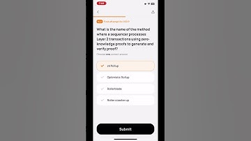 What is the name of the method where a sequencer processes Layer 2 transactions using zero-knowledge