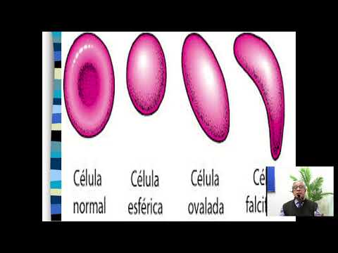 Clase de Continuación