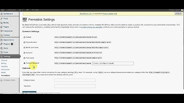BestWebsitesDesigner.com how to solve issue with WordPress inner pages not working part 4