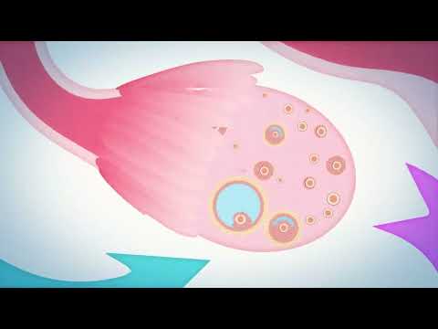 How Menstruation Works Emma Bryce