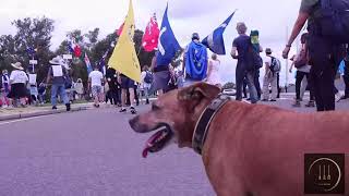 Holding the Line. Canberra. 26.02.22
