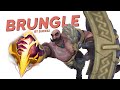 I played braum jungle so you dont have to